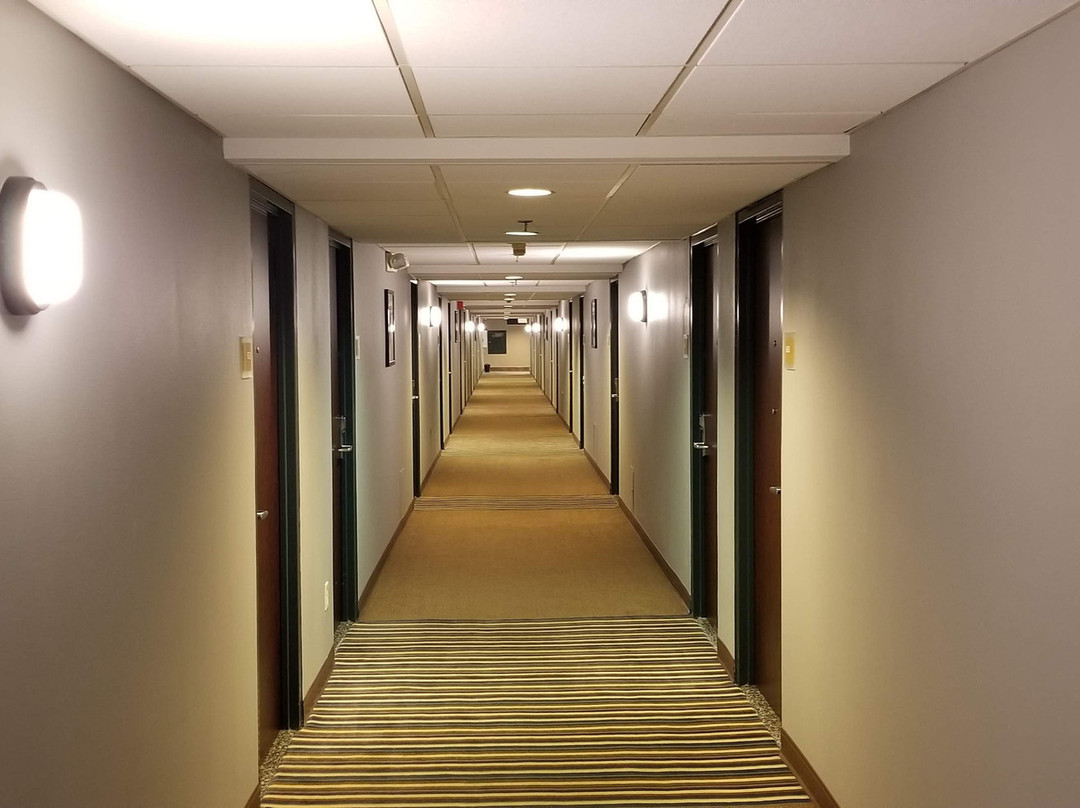 卡拉马祖福朋喜来登酒店主图