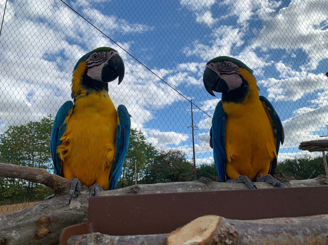 Parrot World景点图片
