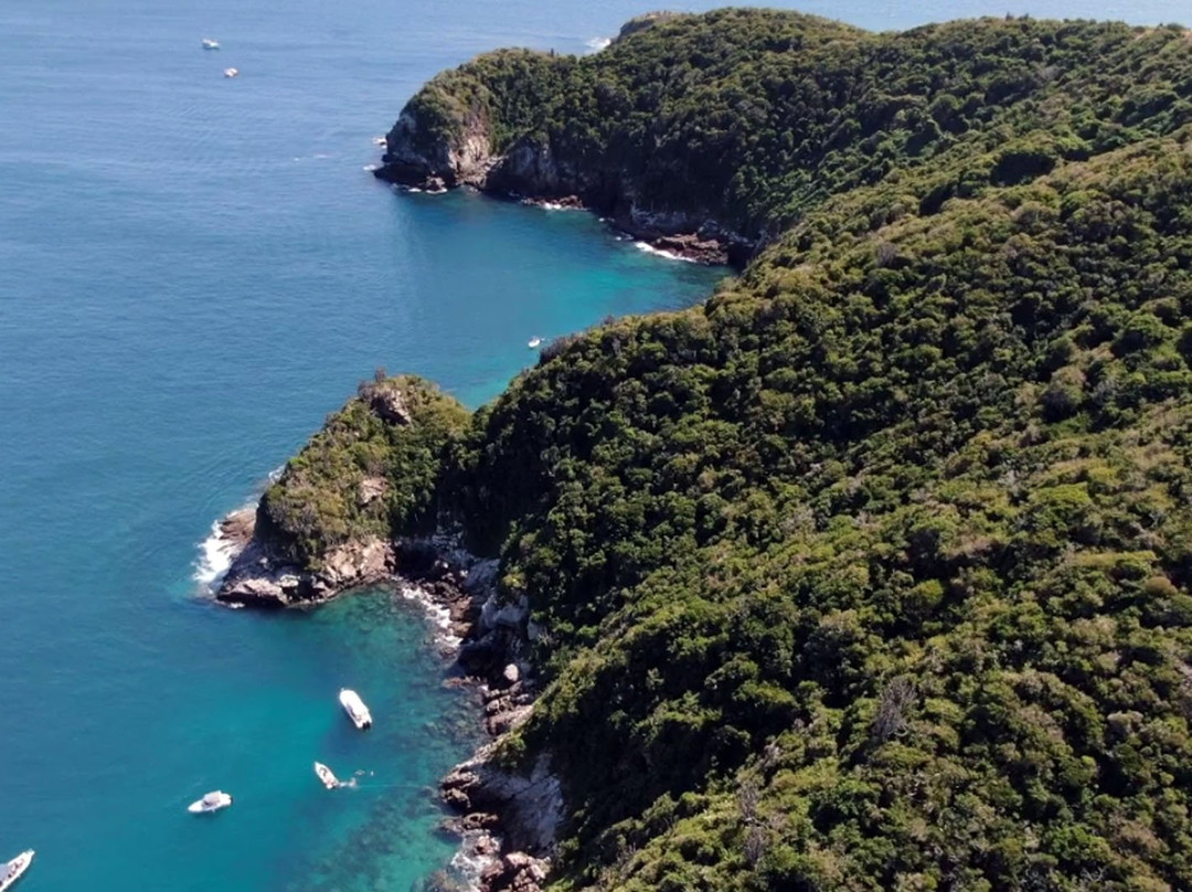 Papagaios Island-卡布弗里乌必去景点