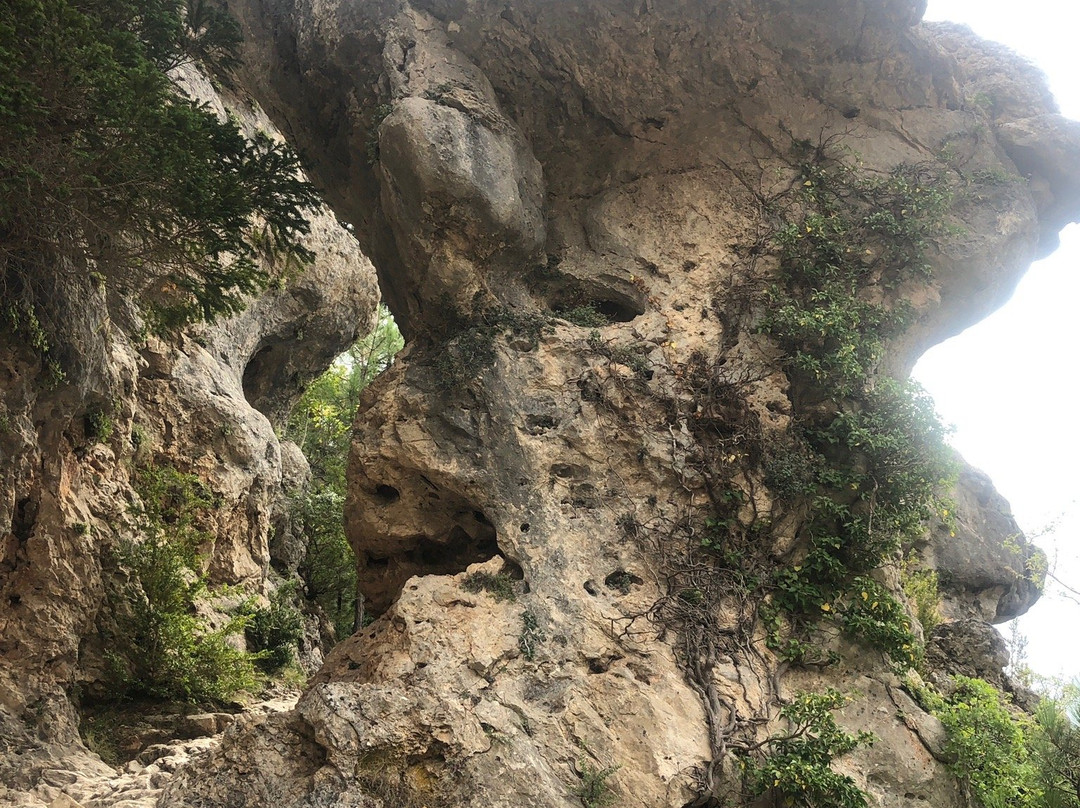 Laguna De Una景点图片