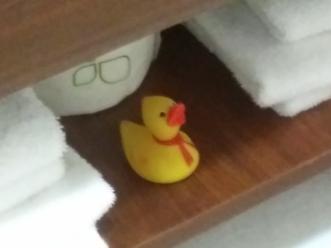 Comfort Suites Salem - Roanoke I-81主图