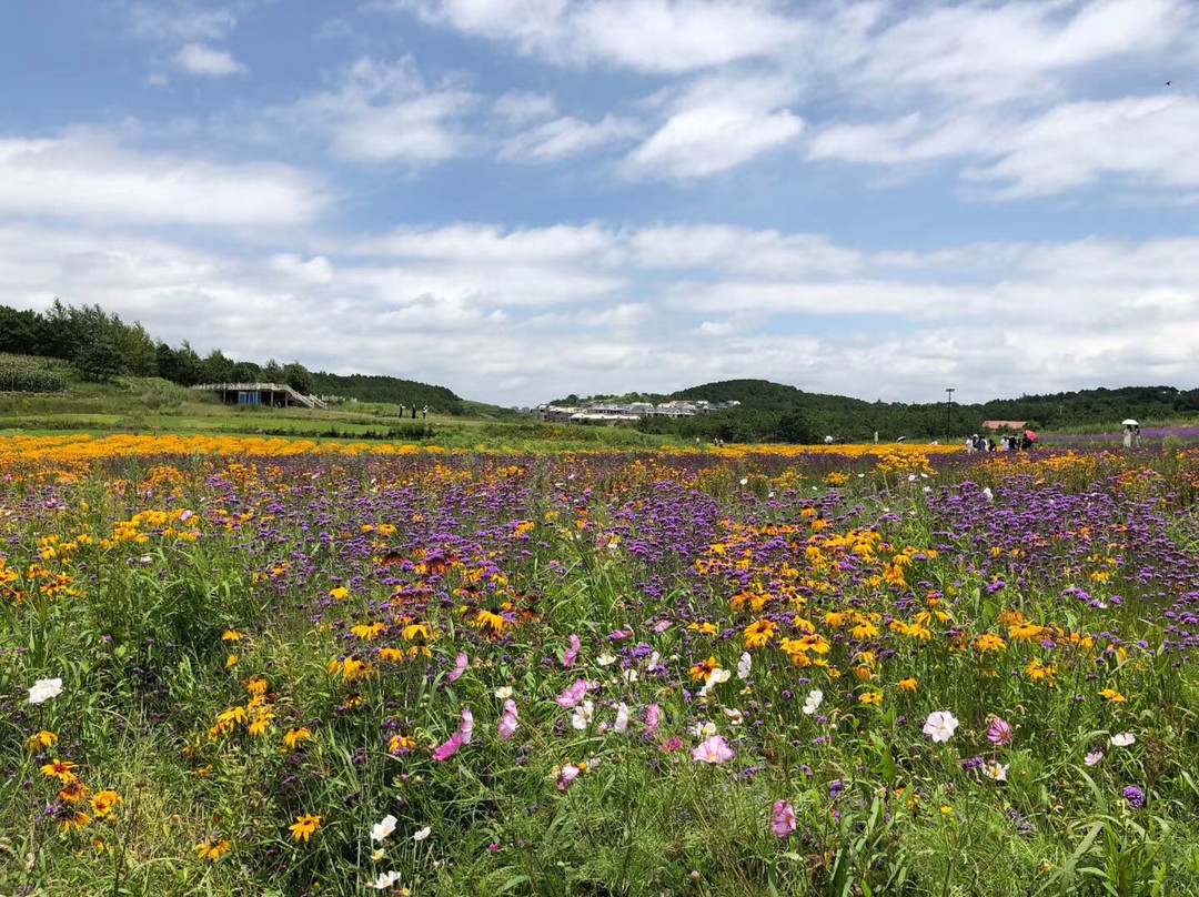 六盘水乌蒙山国家地质公园景点图片