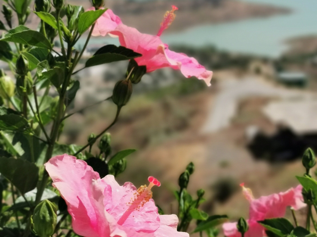 Los Romanes旅游攻略图片