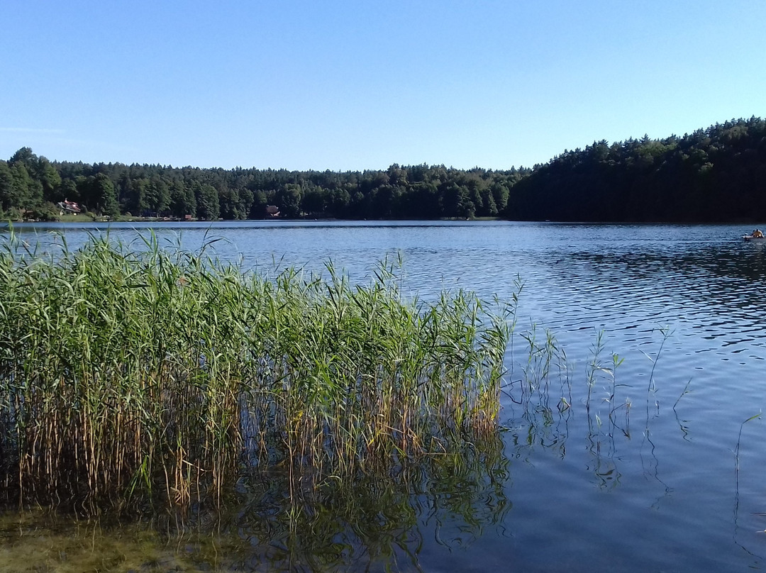 Camping Dłużek nr. 135