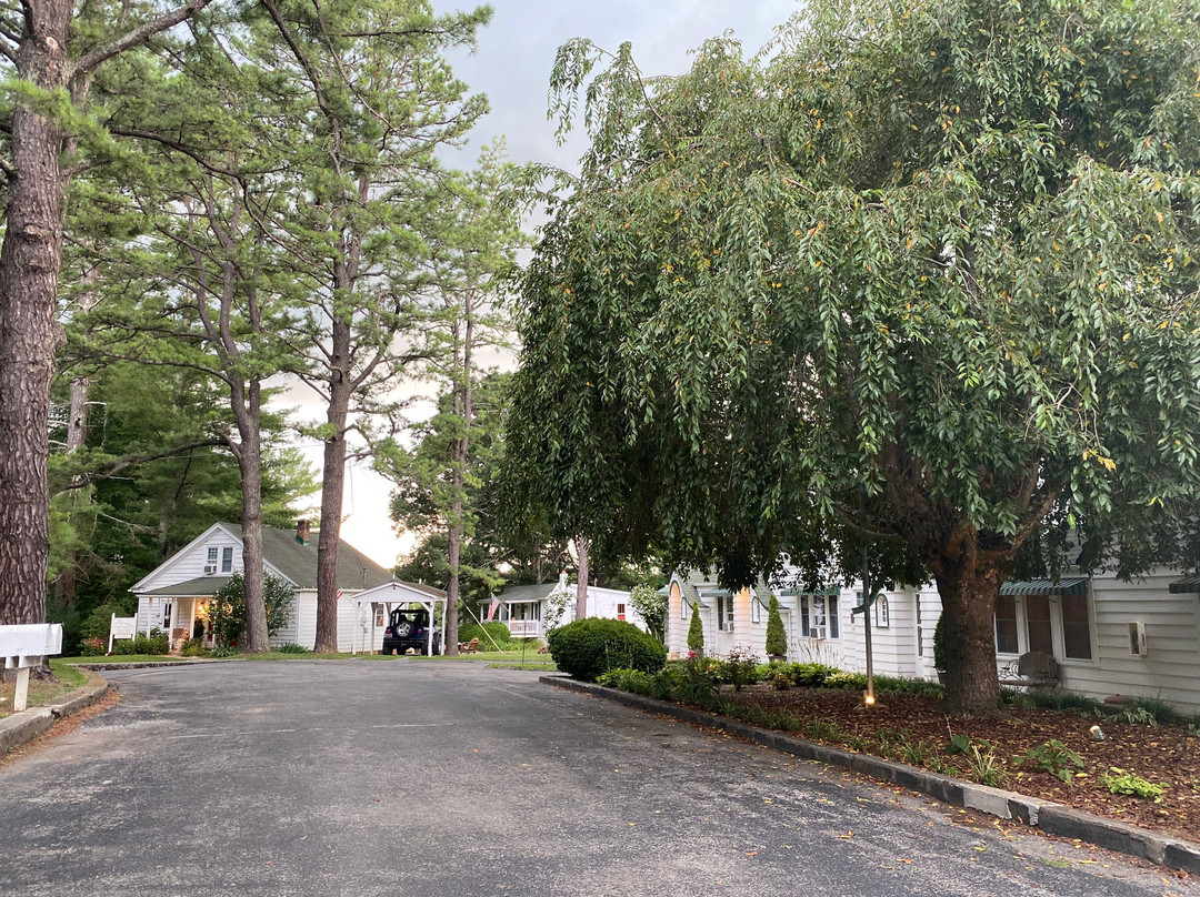 The Pine Tavern Lodge主图