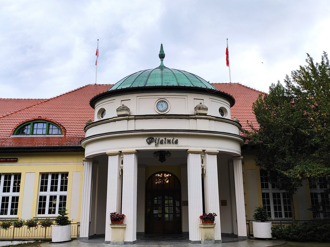 Park Zdrojowy景点图片