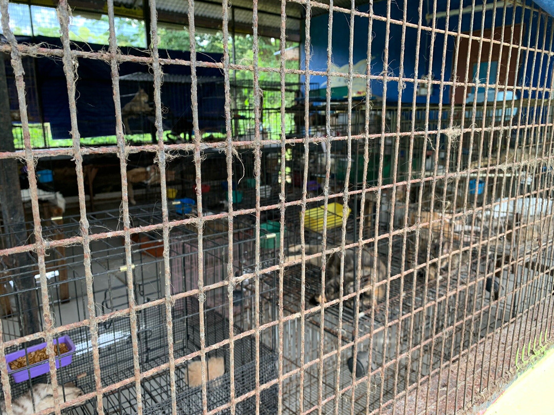 Snake And Reptile Farm景点图片