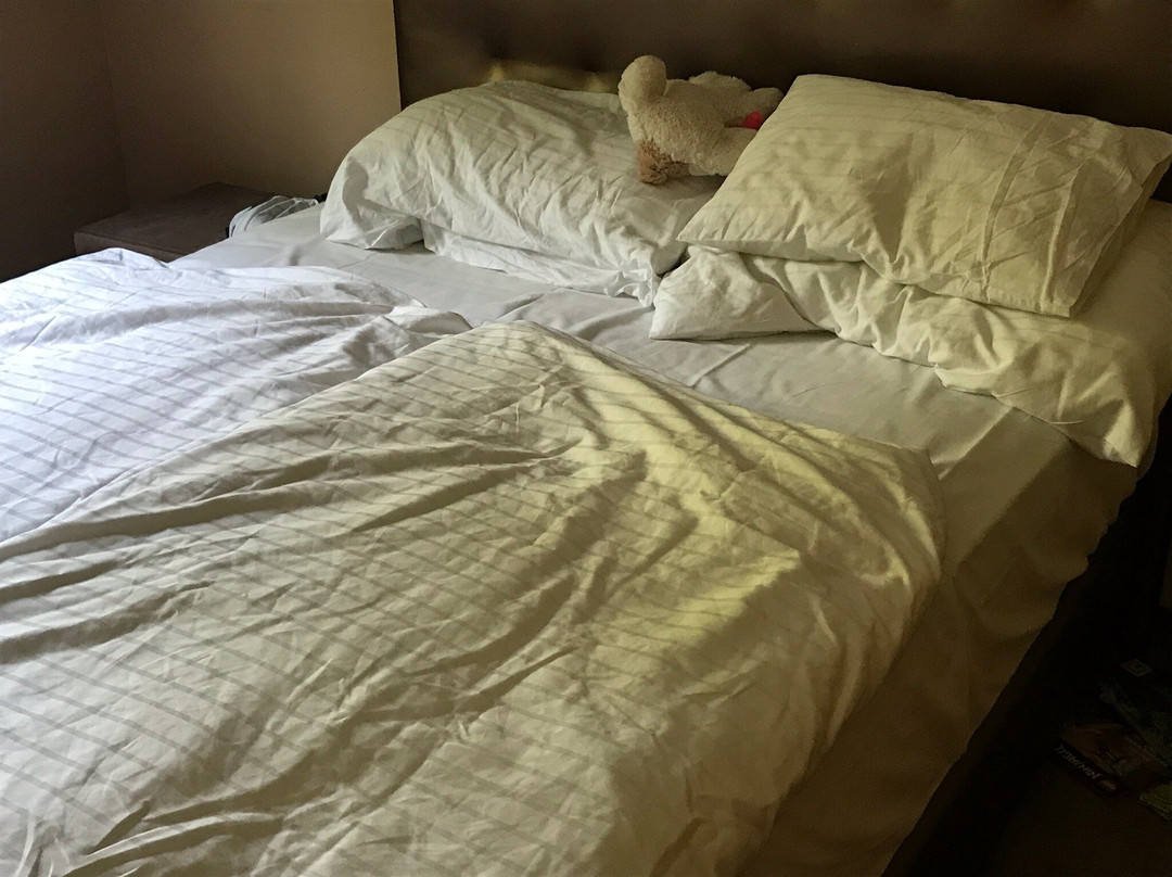 Maiers Hotel Schlafgut主图