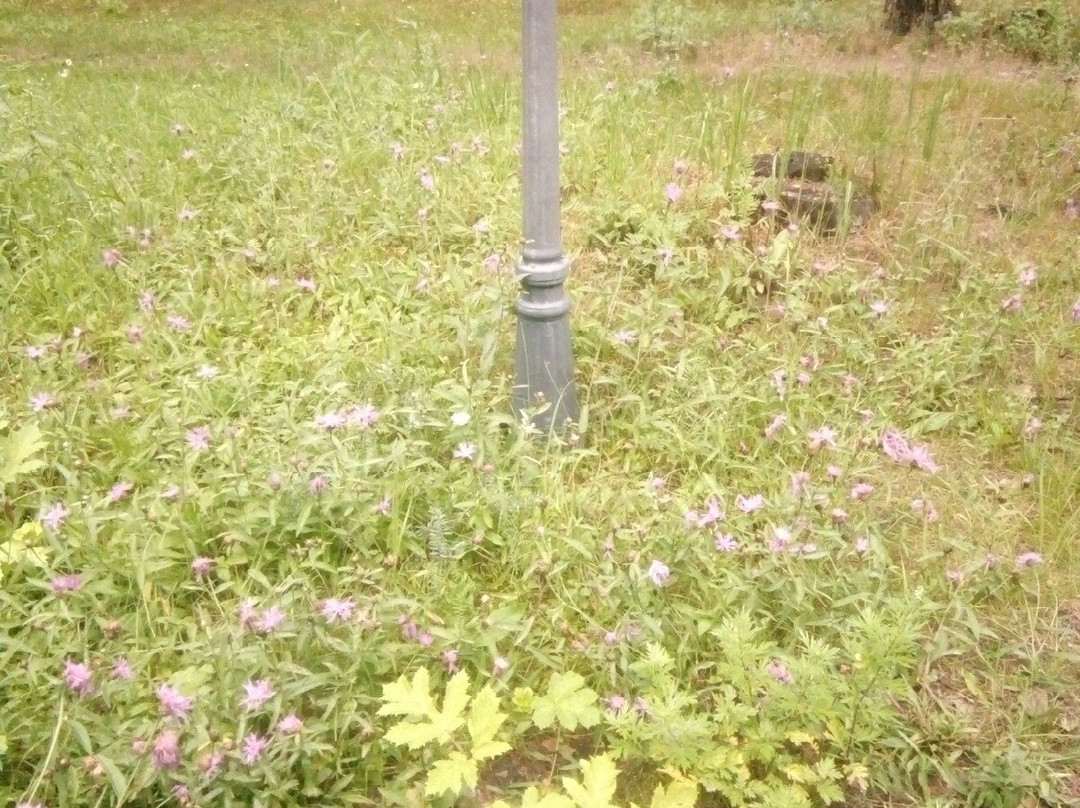 Dacha Country Club主图