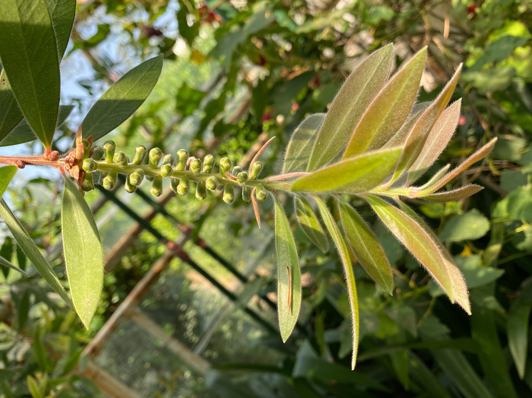 Palmiarnia Walbrzych-Walbrzych必去景点