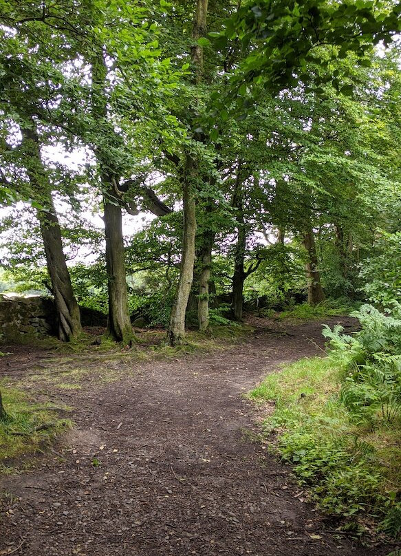 Plean Country Park-Plean必去景点
