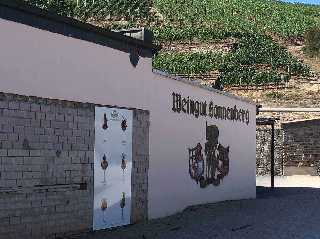 Weingut Sonnenberg景点图片