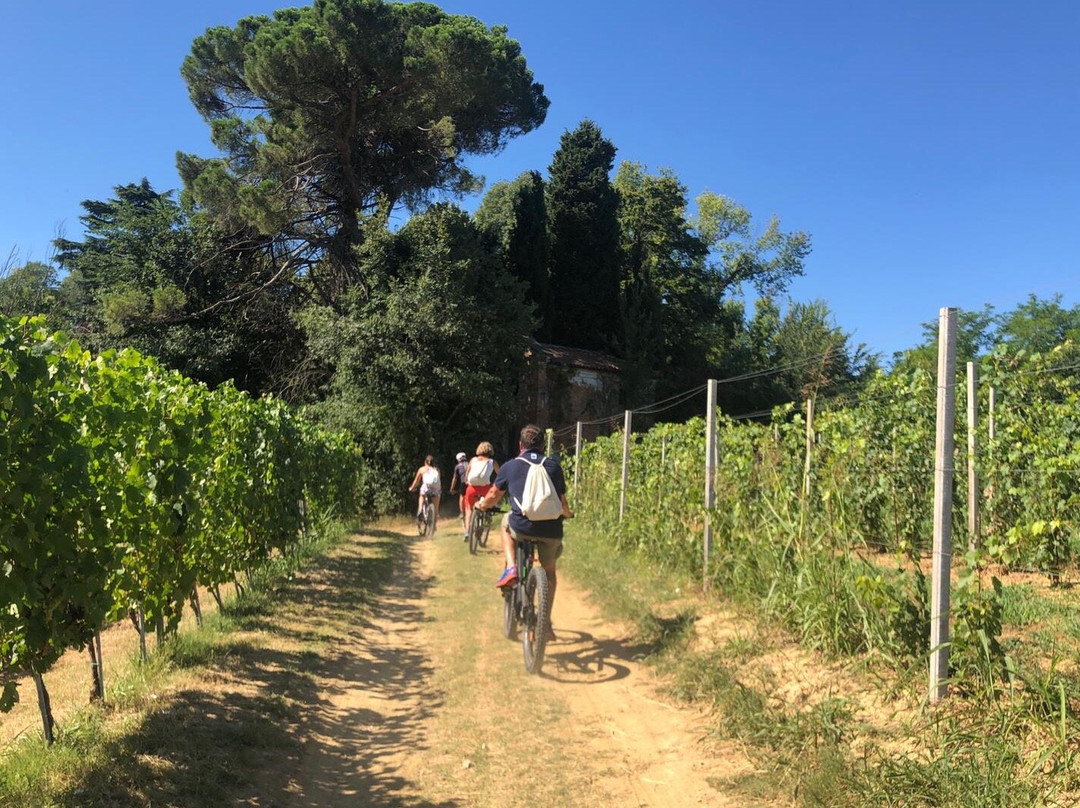 Sentieri Gastronomici-阿斯蒂必去景点