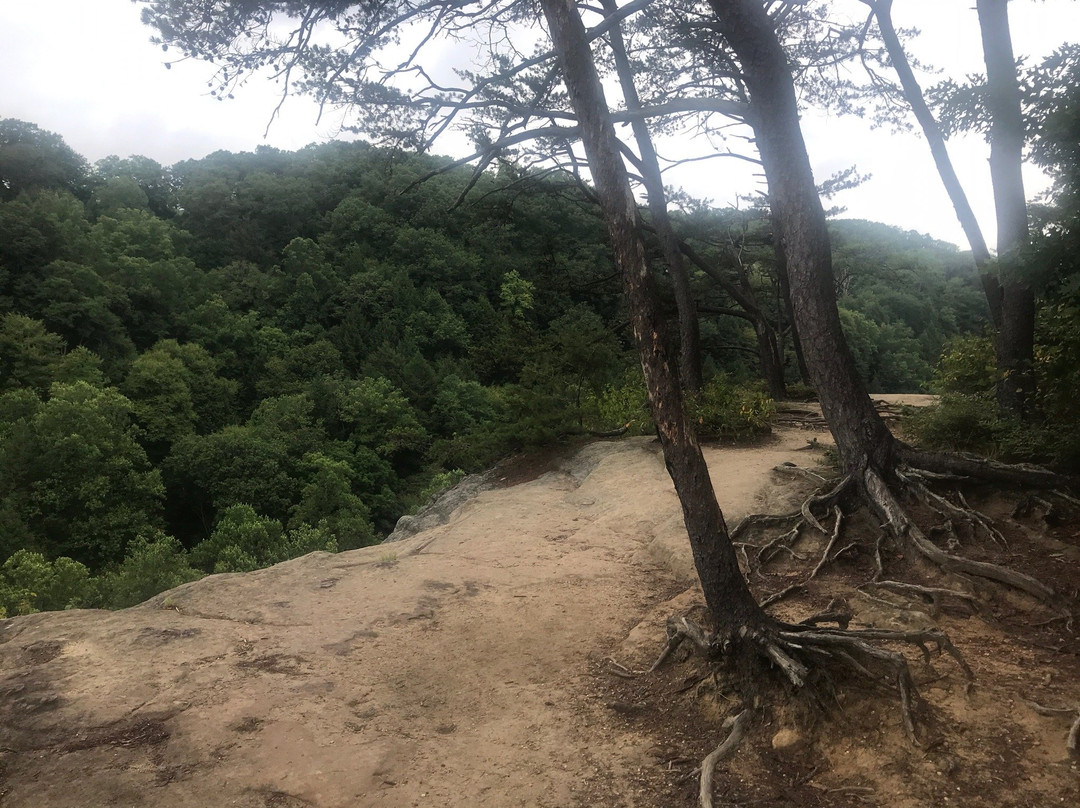 Conkles Hollow State Nature Preserve-Rockbridge必去景点