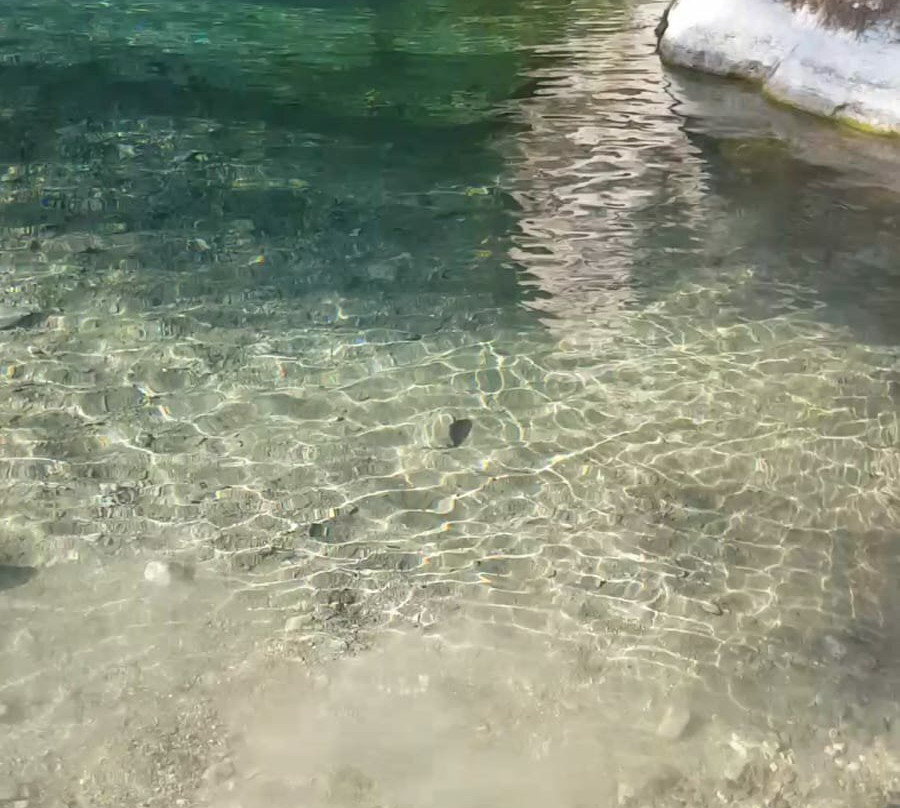 Sorgenti e Gole Del Fiume Sammaro景点图片