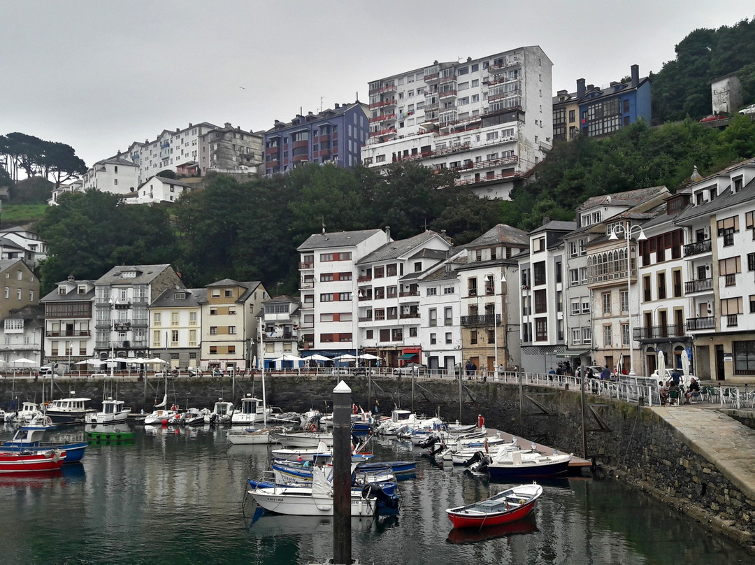 Puerto Pesquero景点图片