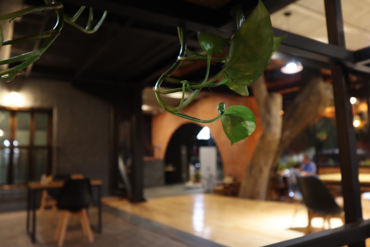 Hotel Rustiko-官方