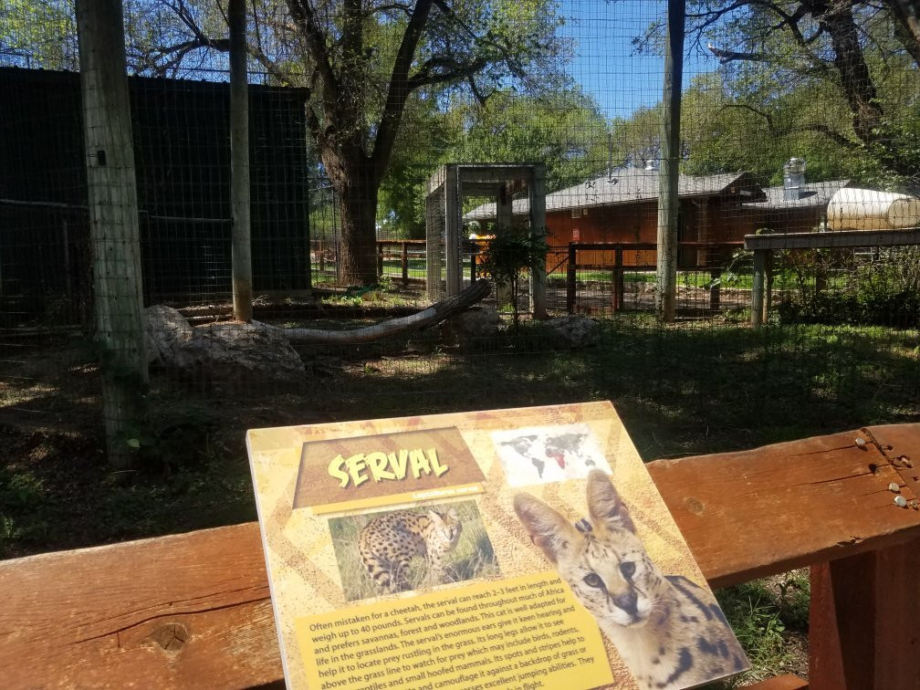 Amarillo Zoo景点图片