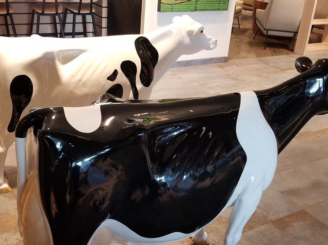 Fairfield by Marriott Inn & Suites Fair Oaks Farms主图