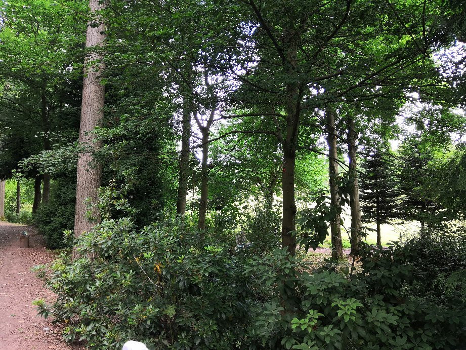 Bodenham Arboretum景点图片