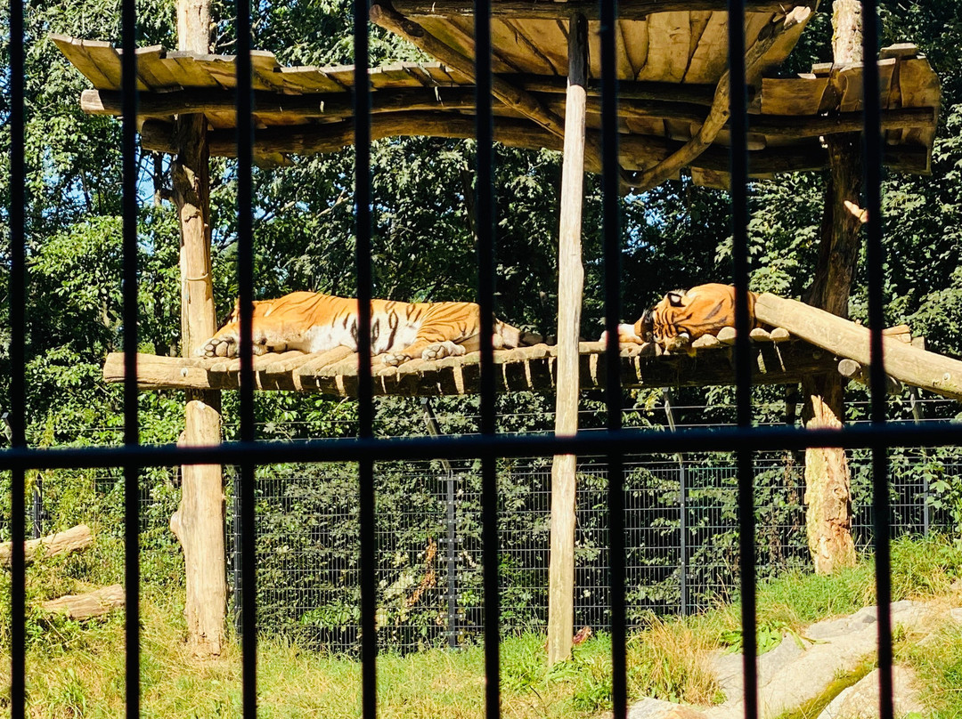Tierpark Stadt Haag-Haag必去景点