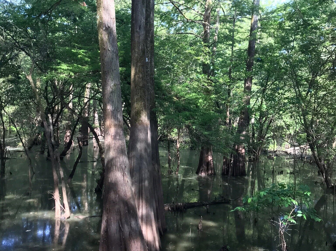 Mississippi Delta-Belzoni必去景点