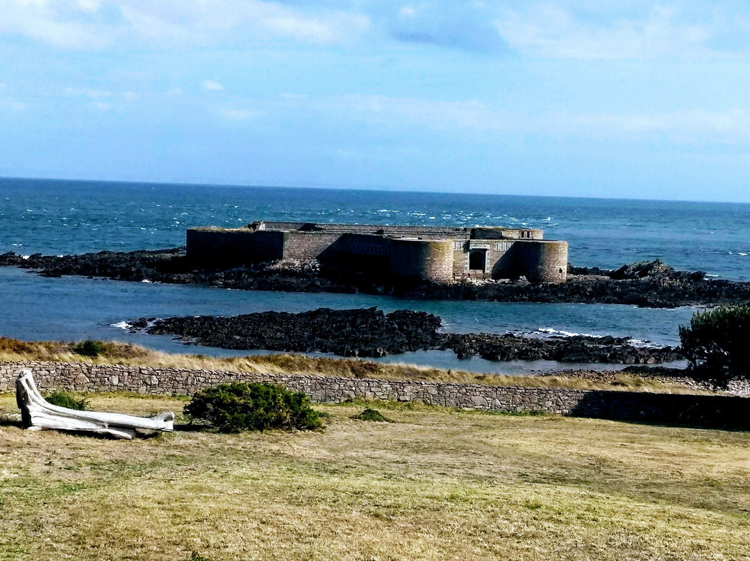 Alderney Wildlife Trust - Seabirds Boat Trip-Alderney必去景点
