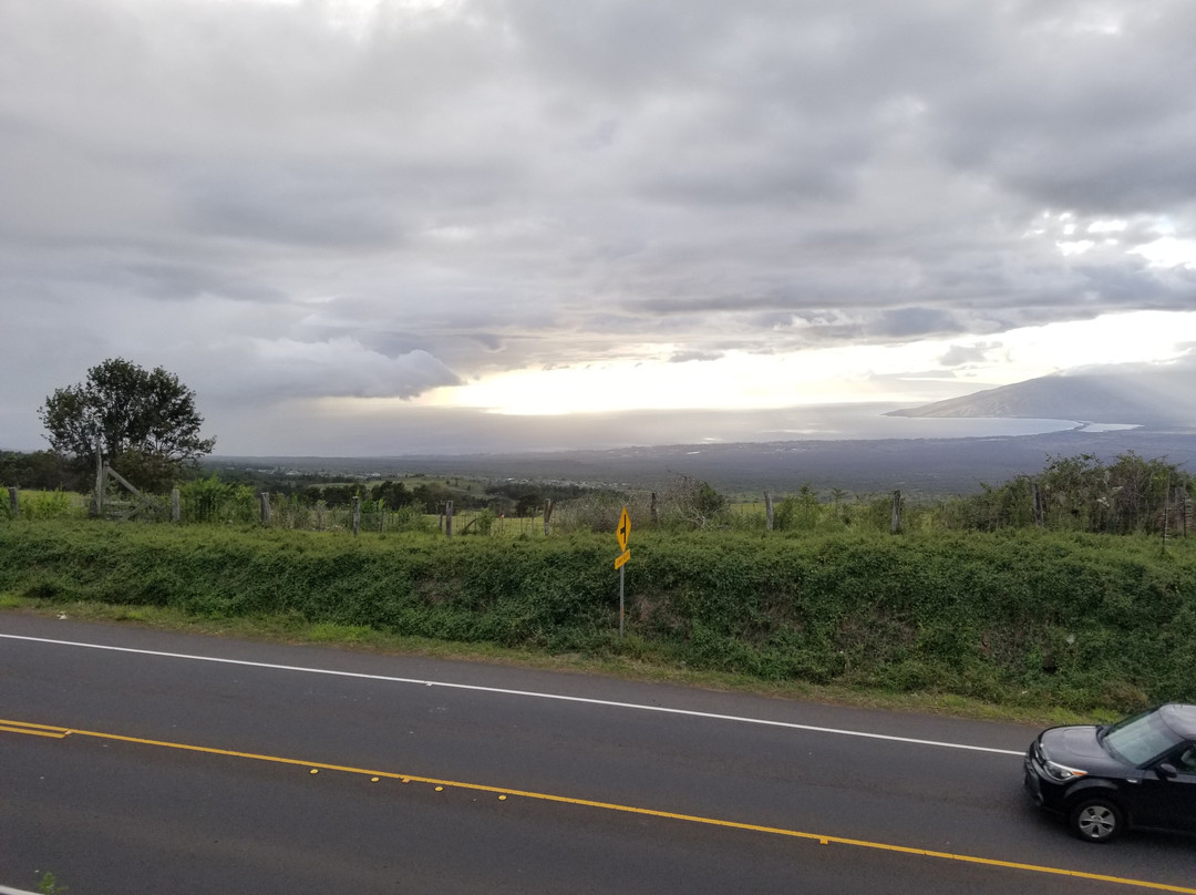 哈罗德•赖斯公园-库拉必去景点