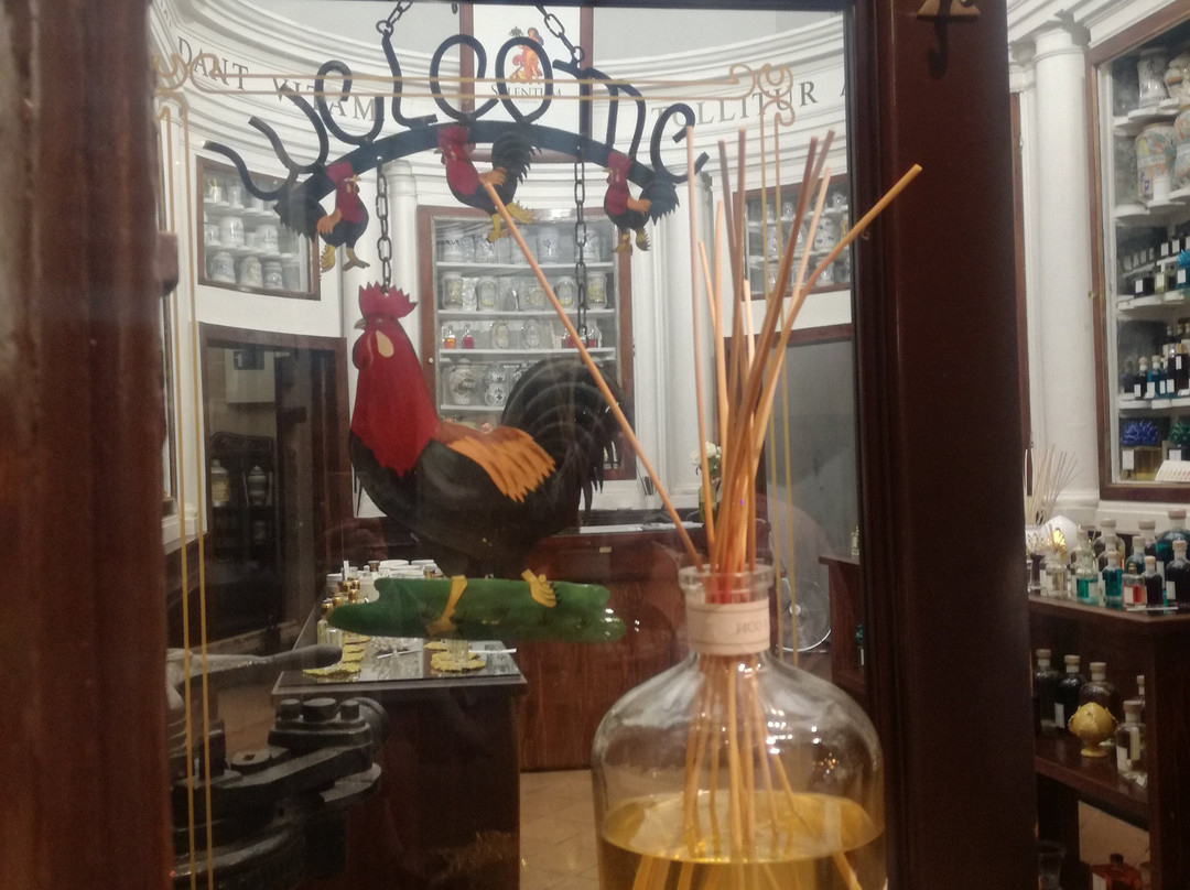 Antica Farmacia Provenzano-加里波利必去景点
