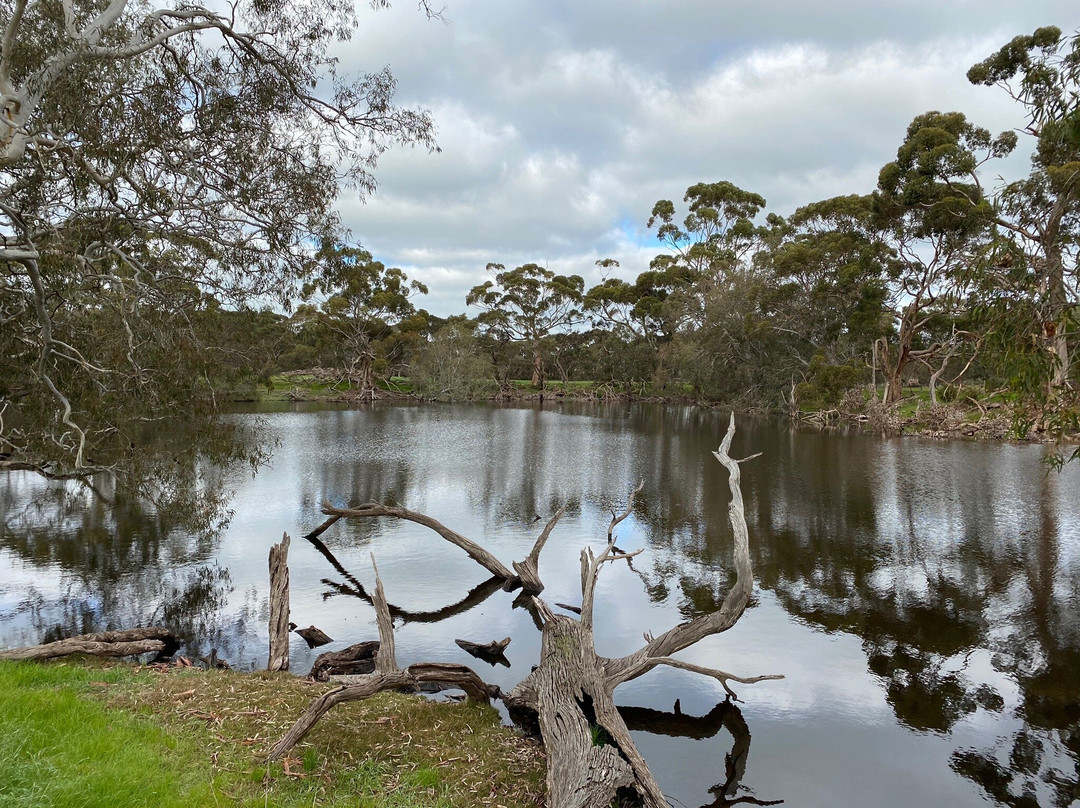Duck Lagoon-袋鼠岛必去景点