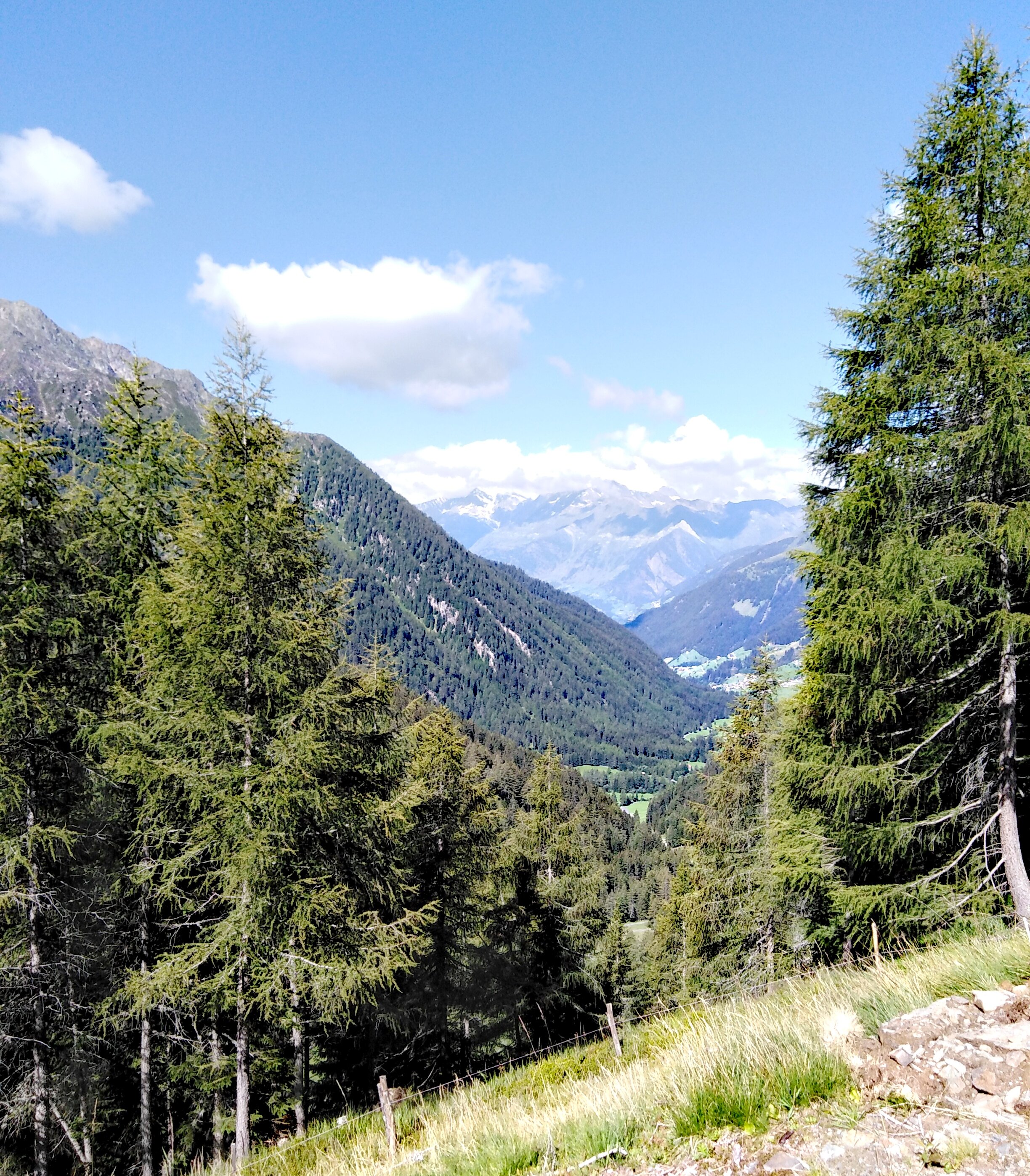 Gourmet & Hiking Hotel Jaegerhof-官方