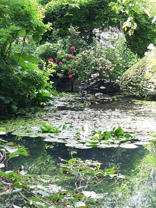 Jardin d'Atmosphere du Petit Bordeaux景点图片