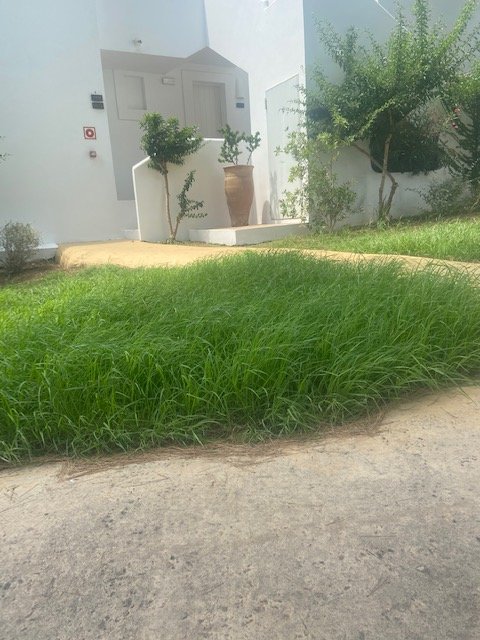 Destino Five Ibiza-酒店景观