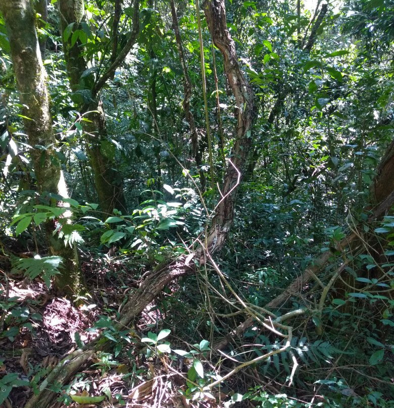 Ecopia Resort-Paraisopolis必去景点