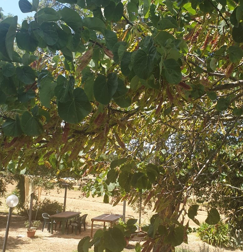 Agriturismo Tinti
