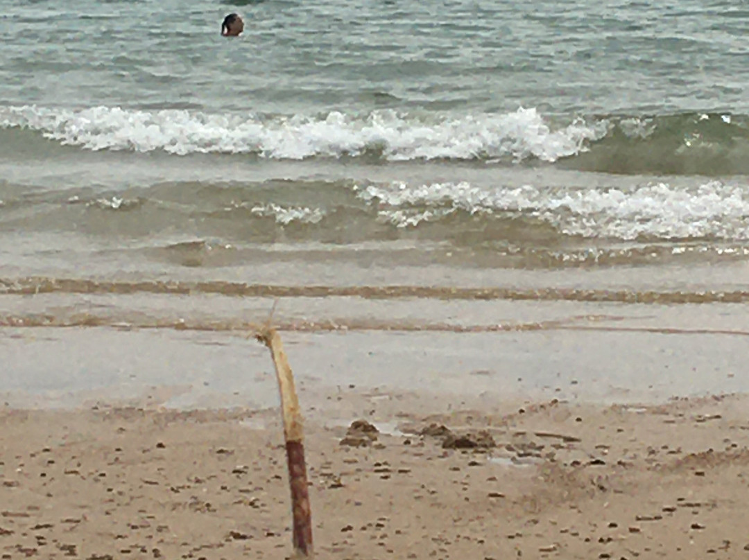 Frinton on Sea Beach景点图片