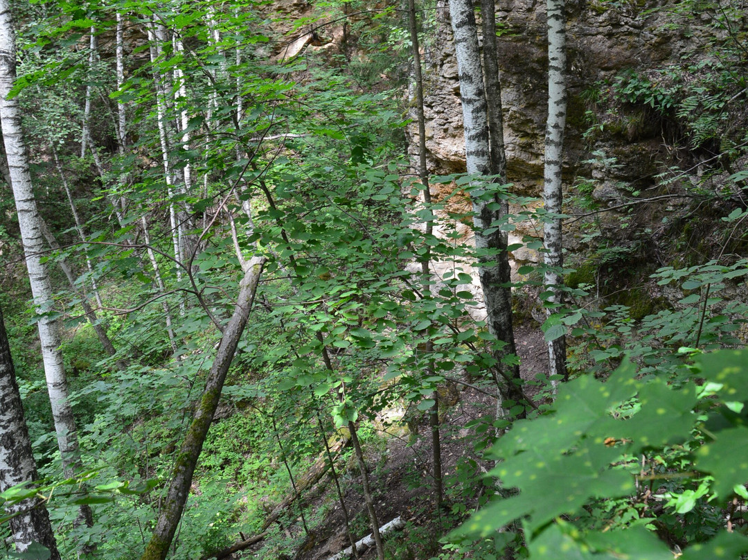 Ichalkovskiye Caves景点图片