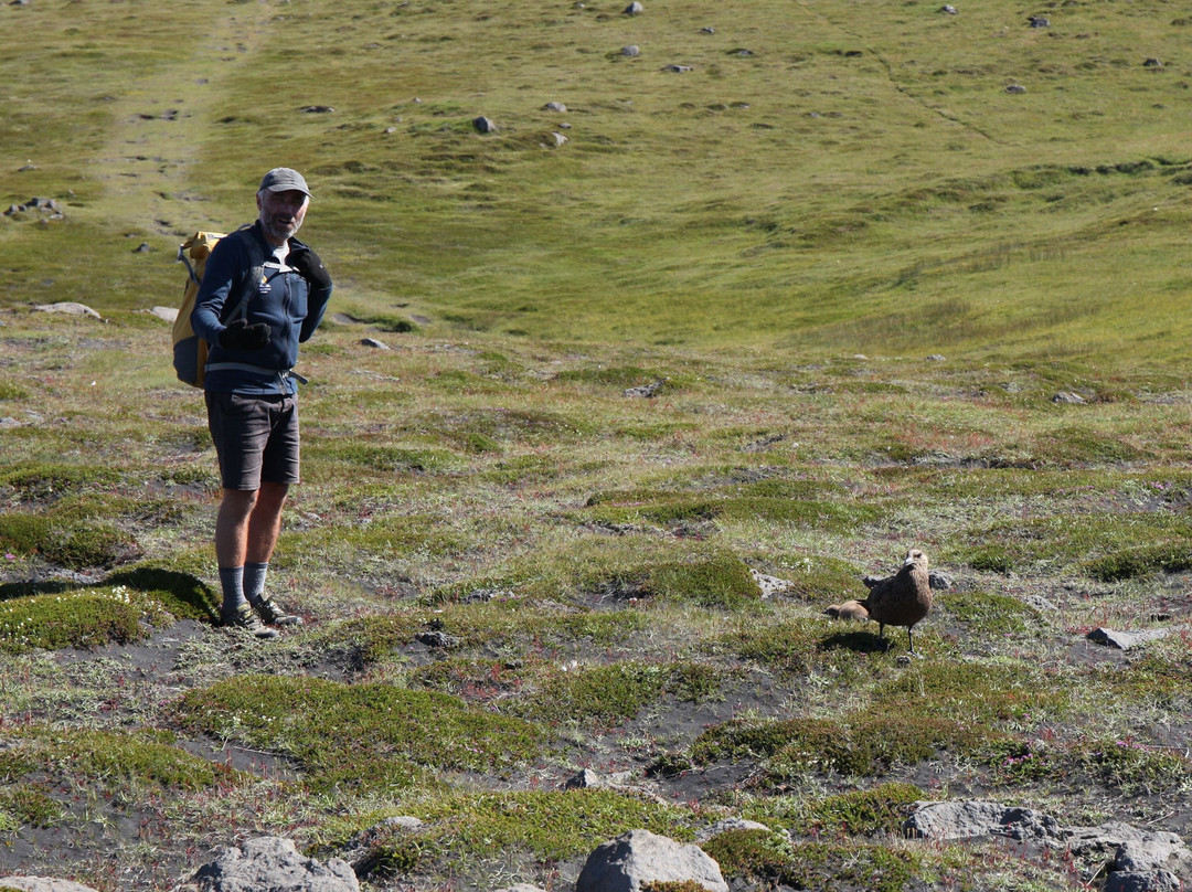 From Coast To Mountains-Oraefi必去景点