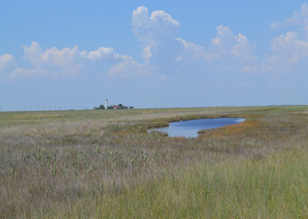 Biryuch Island-Genichesk必去景点
