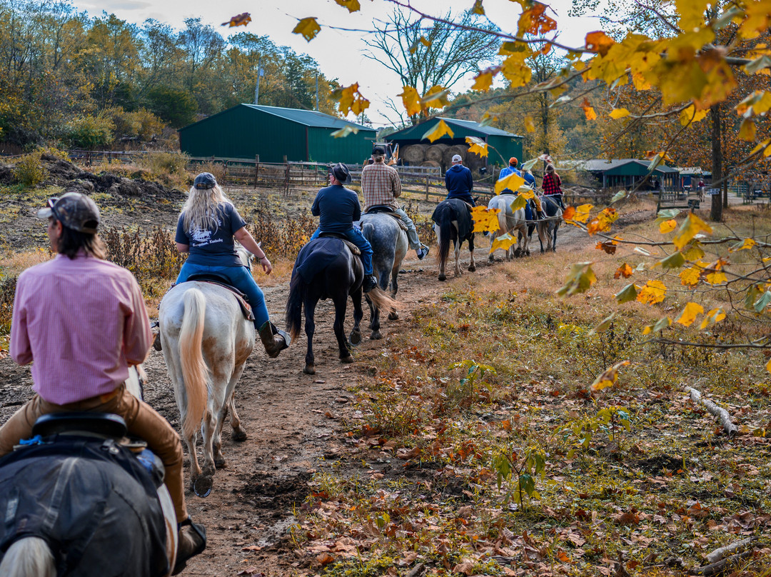Whispering Woods Riding Stable景点图片