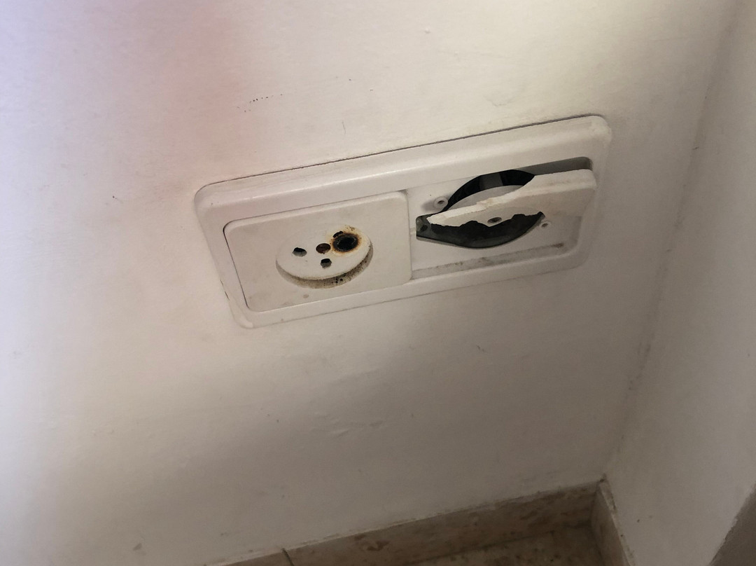 Cactus Tzimmer主图