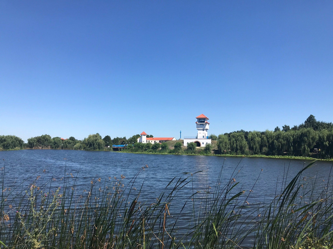 Comana Natural Park景点图片