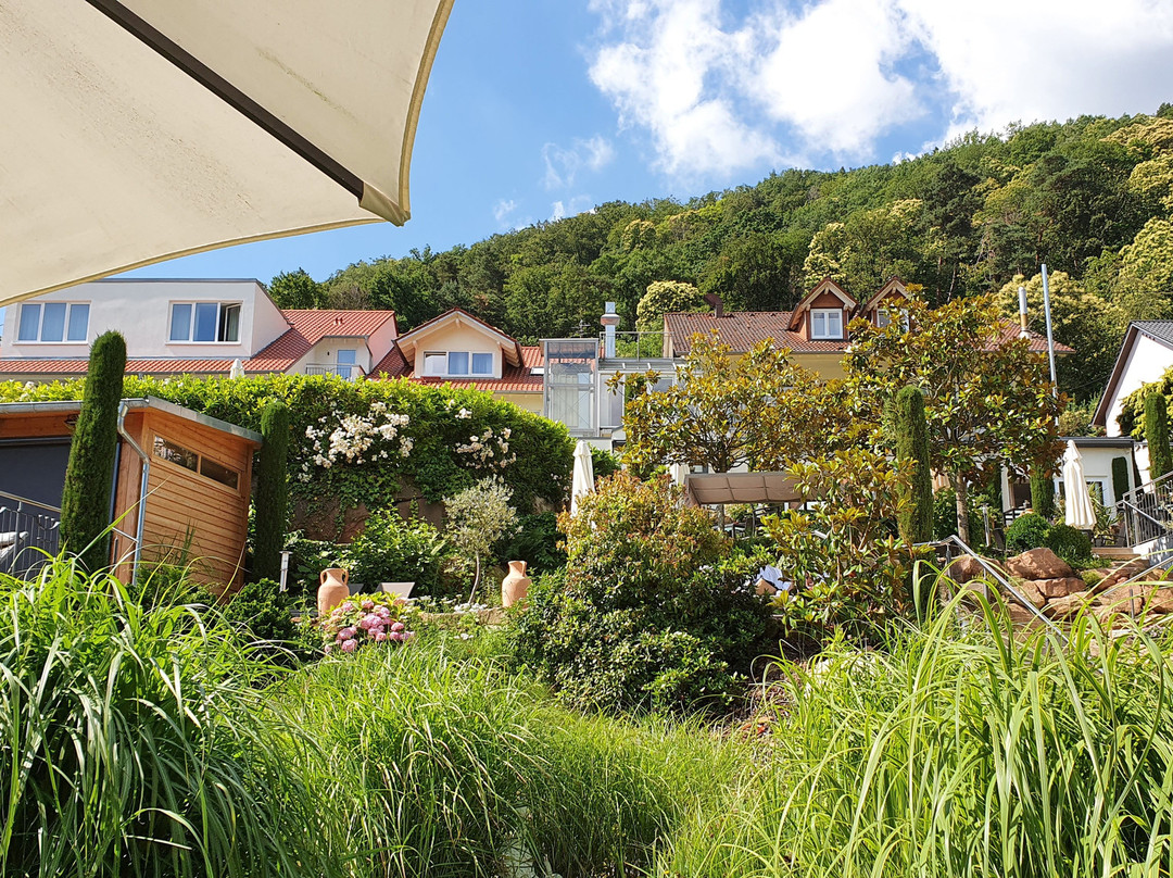 Weinhotel Wiedemann主图