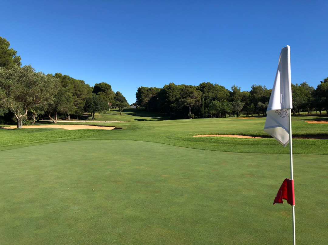 Canyamel Golf-卡普德佩拉必去景点