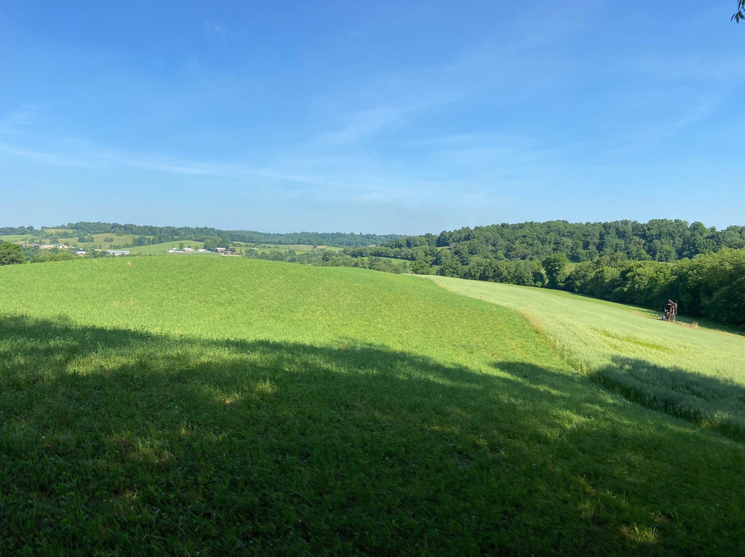 Amish Country Riding Stables-Millersburg必去景点