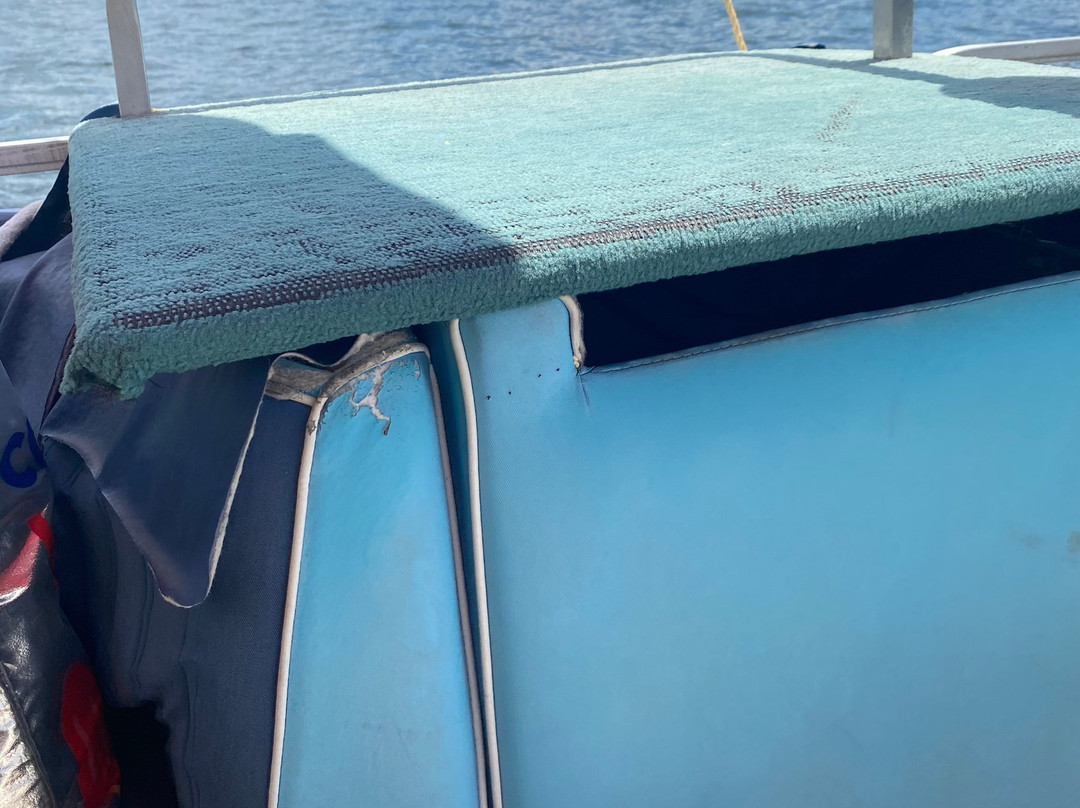 Paynes Water Sports-White Lake必去景点