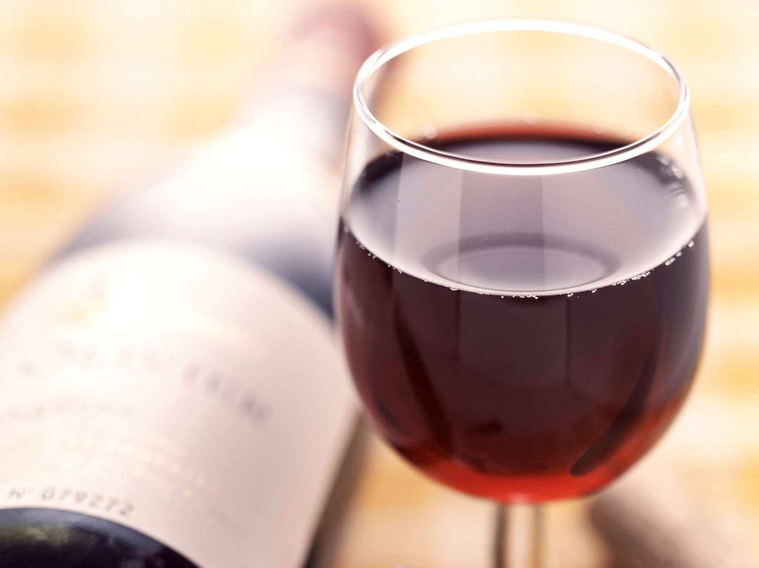 Ibis Mexico Perinorte主图