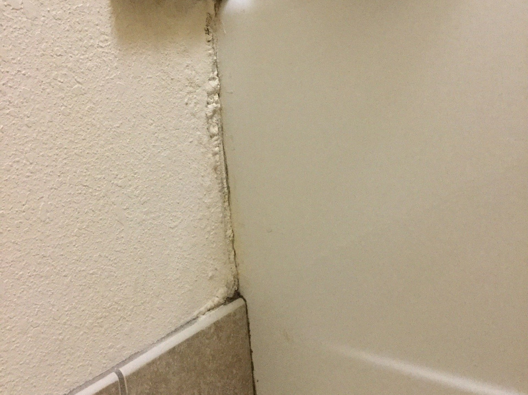 密尔沃基机场南驻桥套房酒店主图