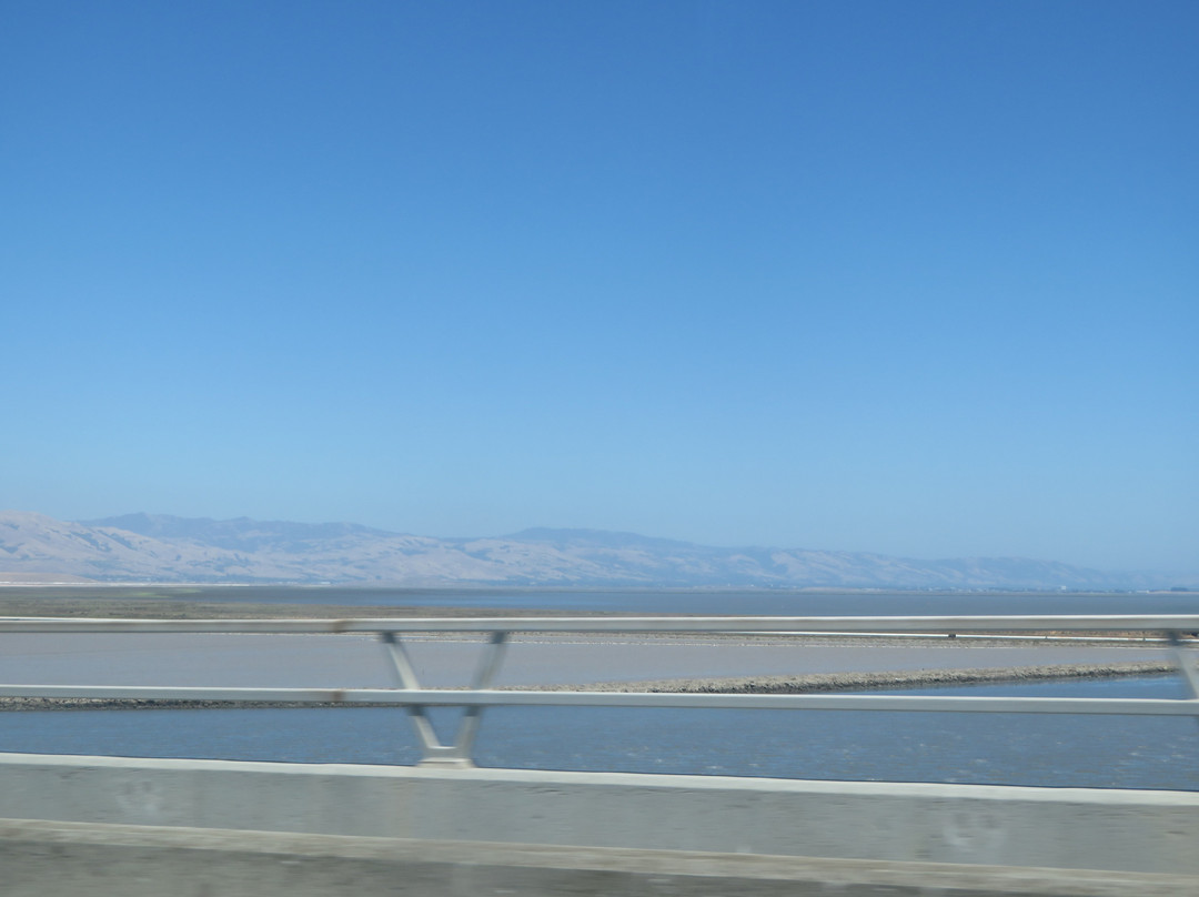 Dumbarton Bridge-费利蒙必去景点