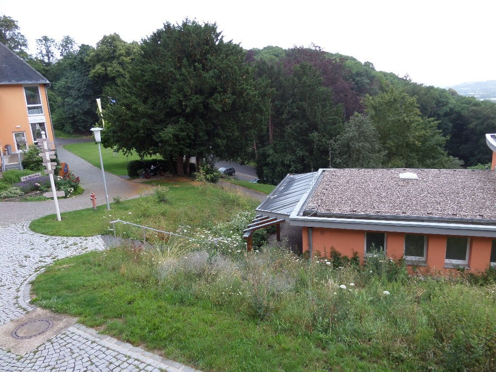 Jufa Hotel Königswinter****主图